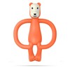 Matchstick Mm Mordedera Oso, Paquete De 1 Count