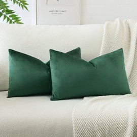 JOTOM Velvet Soft Solid Throw Pillow Case 40x60 cm Decorative Throw Pillow Covers Soft Lumbar Cushion Case Couch Home Decor Cushion Covers for Sofa Bedroom 16x24 Inch Set of 2 (Army Green)