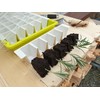 BUSTASEED Tip Out Propagation Kit - Sustainable, Reusable and Extra