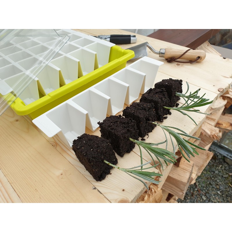 BUSTASEED Tip Out Propagation Kit - Sustainable, Reusable and Extra