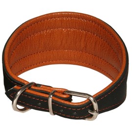 Real Leather Extra Wide Padded Tapered Dog Collar Glossy Black Greyhound Saluki Deerhound Lurcher Whippet Dachshund