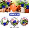 Fruit Fly Traps, 60 Pack Blue Sticky Traps, Fungus Gnat