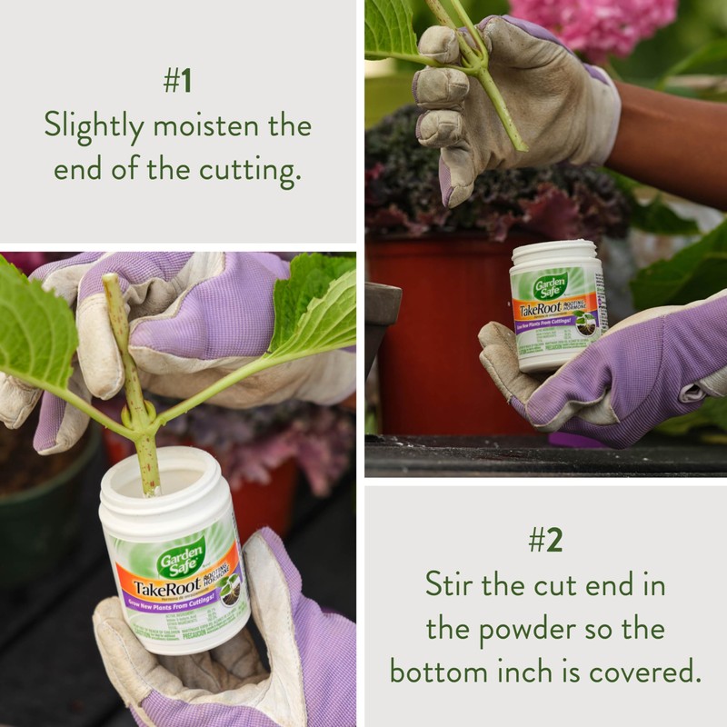 Garden Safe Brand TakeRoot Rooting Hormone, 2 Count, Powder Helps