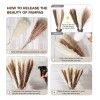 Qianailian 79 Piezas De Hierba De Pampa Seca Natural, Decoración