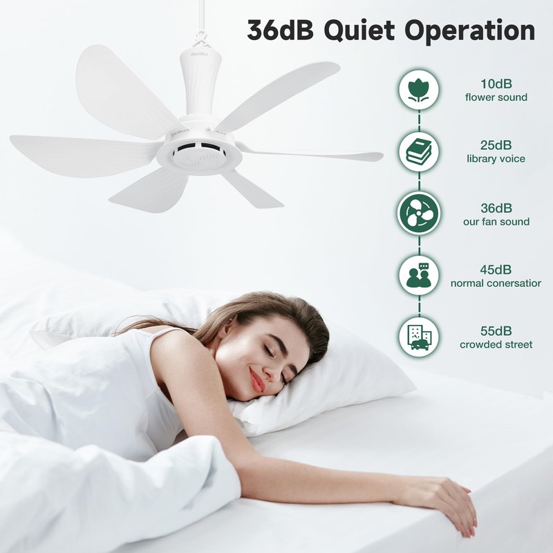 Roodike 22.5" Plug in Ceiling Fan for Outdoor Gazebo Patio