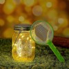 Insect Catcher Kit Bug Collecting Jar with Handle Net Indoor