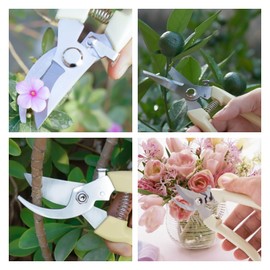 2 Pack Garden Pruning Shears Set，Plant Cutting Shears，Sharp Garden Shears for CuttingFlowers, Trimming Plants, Fruits Picking