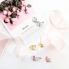 Silvora Dainty Heart S925 Stud Earrings, Valentine's Day Collection Romance