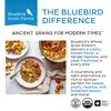 Bluebird Grain Farms Organic Whole Grain Einkorn, 1 Lb.