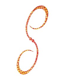 Shimano 003 Inogetsu Response Curly Tie for Tylaba, Red Gold, 4.3 inches (110 mm), Sea Bream, Lure Parts