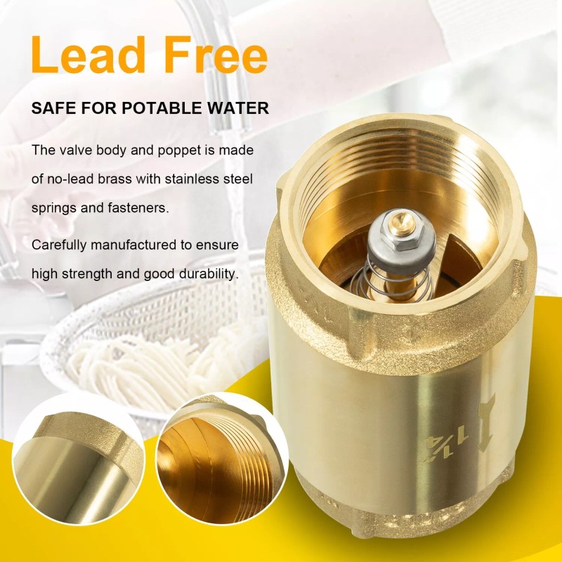 Deargooday 1 1/4" Check Valve Female Pipe Thread One Way