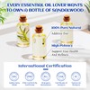 HIQILI HIQILI Sandalwood Essential Oil and Sweet Orange Essential Oil,