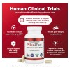 Healfast - Fórmula De Apoyo Para Recuperación De Lesiones Y