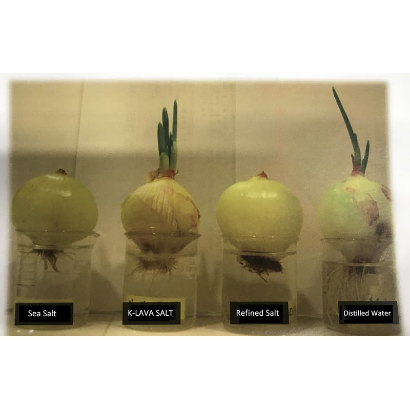 K-LAVA SALT—Korea's No.1 Bamboo Salt—Original 9x, Powder, 2.47 Ounce