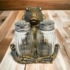 Yoga Frog Salt and Pepper Set with Glass Shakers –