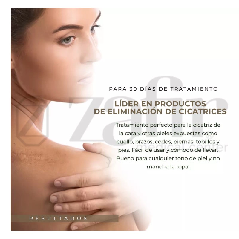 Biodermis Lapiz Labial Para Cicatrices Pro-sil 4.25 G Biodermis