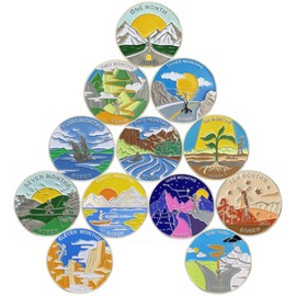 Sobriety Coins Set 1-12 Months Alcoholics Anonymous Medallions AA Chip Sober Anniversary Token Sobriety Gifts for Women Men in Recovery, Set of 12