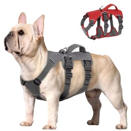 Beirui Escape Proof Dog Harness for Small Medium Dogs Reflective Dog Harness No Pull with Padded Handle Training (Grey, Chest 12-20")