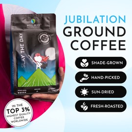 Well-Bean Coffee - Slay the Day Ground Coffee, Dark Brazilian Coffee, Vegan Coffee Grounds, Gluten-Free and Keto Friendly Dark Roasted Coffee, 12 oz
