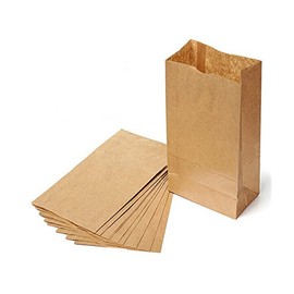 Novolex 25BBP, 25 Brown Kraft Paper Bags, Disposable Take Out Unprinted Grocery Bread Bags, 500-Piece Bundle