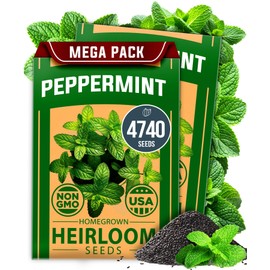 HOME GROWN Peppermint Seeds 2 Pack (Mentha × piperita) – 4,740 Heirloom Mint Seeds for Planting – 𝗡𝗢𝗡-𝗚𝗠𝗢, 𝗨𝗦𝗔-𝗦𝗢𝗨𝗥𝗖𝗘𝗗 – Grow Indoors or Outdoors, Kitchen Herb Garden Favorite