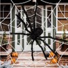 Halloween Spider Web Decoration