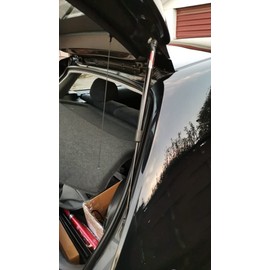 TSUBASA Rear Tailgate Dampers for Honda Civic Type R EP3 Hatchback 2001-2005 Trunk Boot Lift Support Shock Absorber Gas Struts Spring Prop Rod (2PCS) (Normal Black)