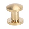 50 Set Brass Rivets Kit DIY 8mm Slot Screw Decorative