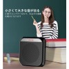 SANOVO Portable Amplifier Small Speaker Handheld Trumpet Player Teacher Promotion