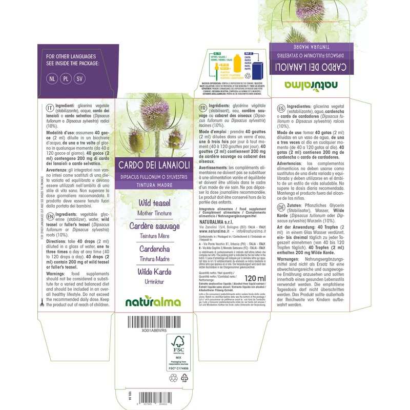 Wild Karde (Dipsacus fullonum or D. sylvestris) Roots Alcohol-free Mother