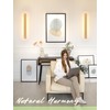 1 Pack Modern Plug in Long Wall Sconce 23.6‘’ LED
