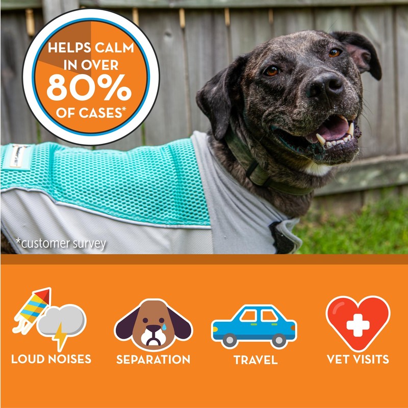 ThunderShirt Breeze for Dogs, X-Large, Aqua, Extra Breathable Mesh Fabric,