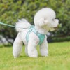 KUVEELA PET Harness, Lead Set, For Small Dogs and Cats,