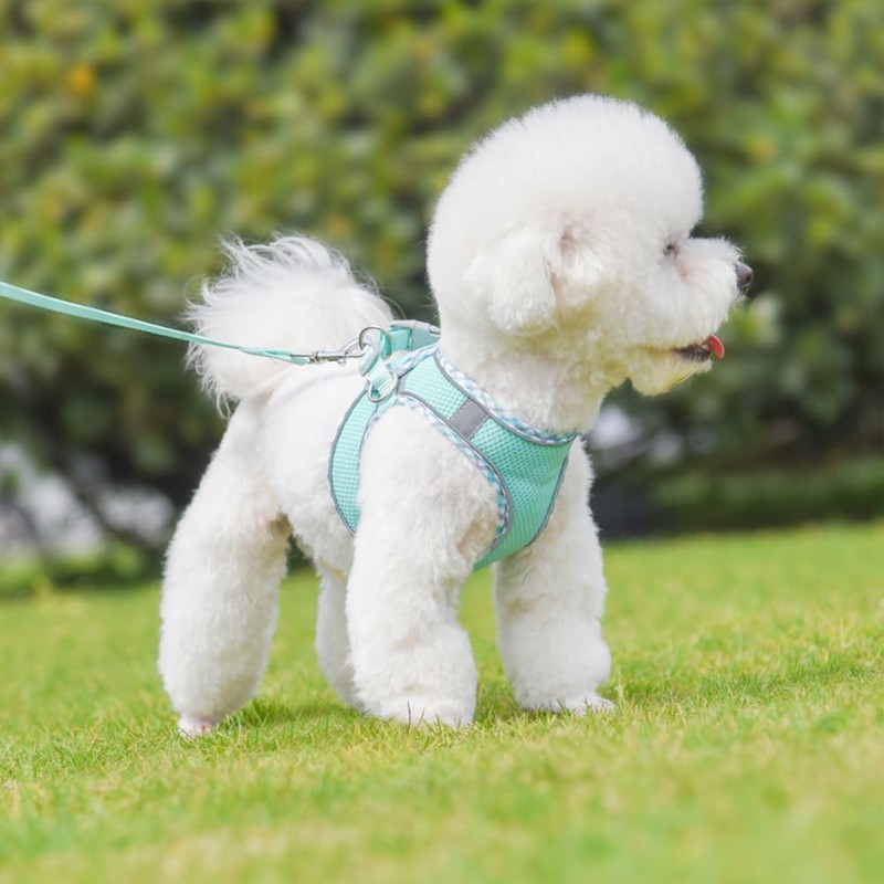 KUVEELA PET Harness, Lead Set, For Small Dogs and Cats,