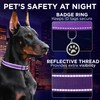 TECEUM Reflective Dog Collar – Purple – S – Extra