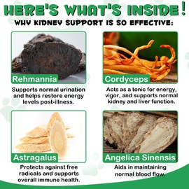 Liver Supplement for Dogs, Liver & Kidney Support Drops with Chinese Herbs Rehmannia Glutinosa and Cordyceps Sinensis to Strengthen Liver & Kidneys Support, Pet Health Supplement for Dogs - 2 x 60 ml