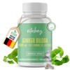 Vitabay Ginkgo Biloba 6000 mg, 365 tablets, time-optimised release, with
