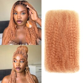 Afro Kinkys Bulk Human Hair -16 Inch 50g 4c Kinky Curly Bundles Human Braiding Hair For Mini Twist/Dreadlocks Extensions/Braids/Locs (#27, 16 Inch(Pack of 1))