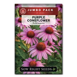 Sow Right Seeds - Bulk Purple Coneflower Echinacea Flower Seeds for Planting - 20 Grams, 5500 Seeds - Non-GMO Heirloom Jumbo Pack with Instructions to Plant an Herbal Tea Garden - for Pollinators