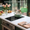 Electric Cooktop 2 Burners 110V~120V, 12'' Plug in Electric Stove