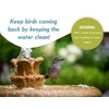 Bird Bath & Fountain Maintenance - (8 Ounces) - Fast-Acting