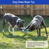 SYOOY Dog Bungee Tug Toy Hanging from Tree,Outdoor Tug of