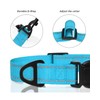 TagME Small Dog Collar, Adjustable Reflective Nylon Pet Collar with