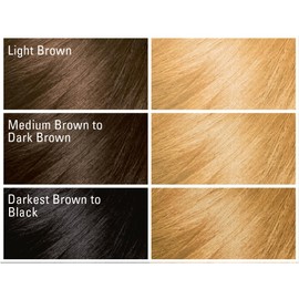 SoftSheen-Carson Dark and Lovely Fade Resist Rich Conditioning Hair Color, Permanent Hair Color, Up To 100 percent Gray Coverage, Brilliant Shine with Argan Oil and Vitamin E, Luminous Blonde, 2 Count