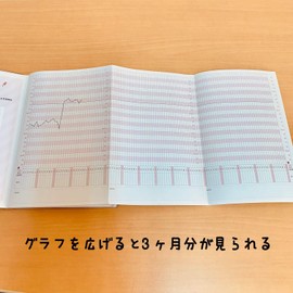 Original Foundation Body Temperature Chart [Hannah]