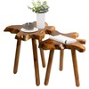 JOLLYMER Natural Teak Wood Live Edge Side Table with Wood