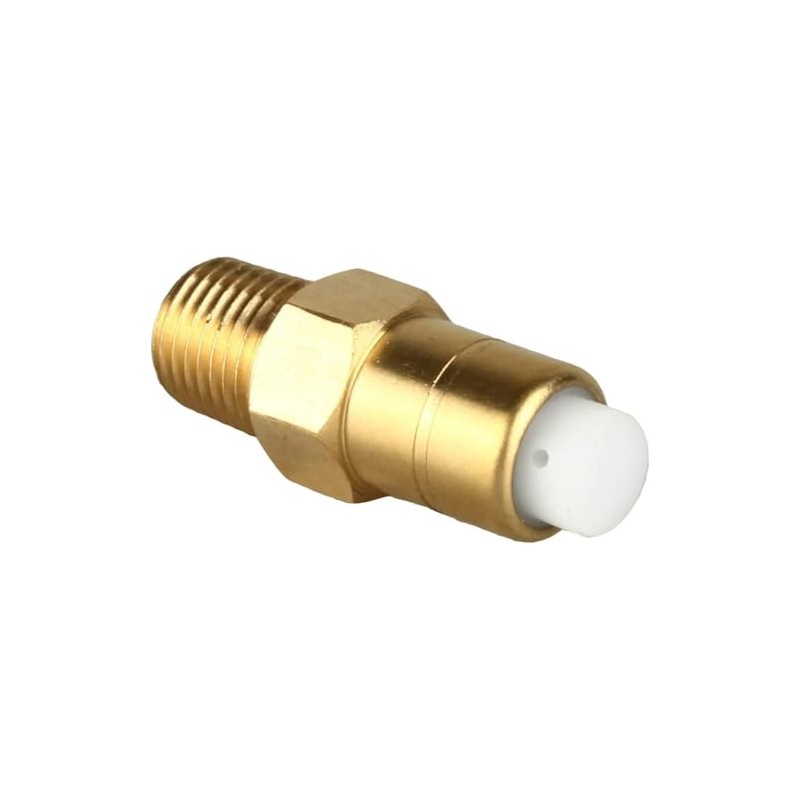 678169004 Thermal Relief Release Valve for Pressure Washer