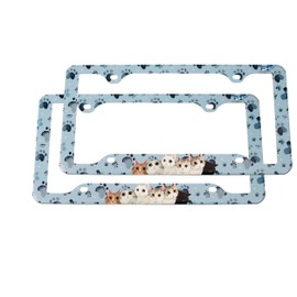 FantasHome 2 Pack Stainless Metal Car License Plate Frame Cover, US Standard Size (Cat)