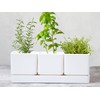 D'vine Dev Herb Garden Planter Set, Plastic Plant Pots with