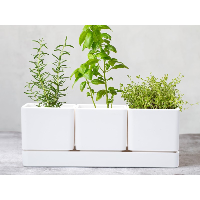 D'vine Dev Herb Garden Planter Set, Plastic Plant Pots with